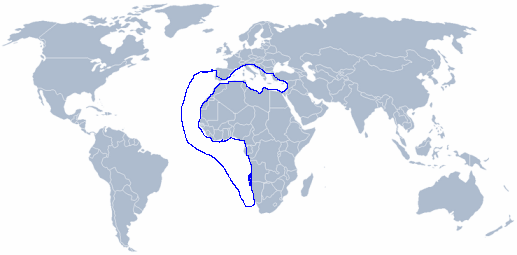 wereldkaart